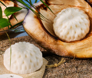 Coconut SOap Mesh Creative